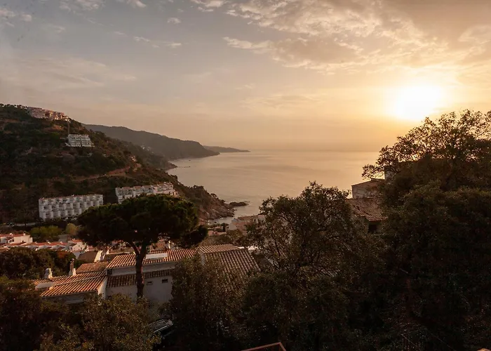 Salionç Cala - Homecelona Apts Appartamento *