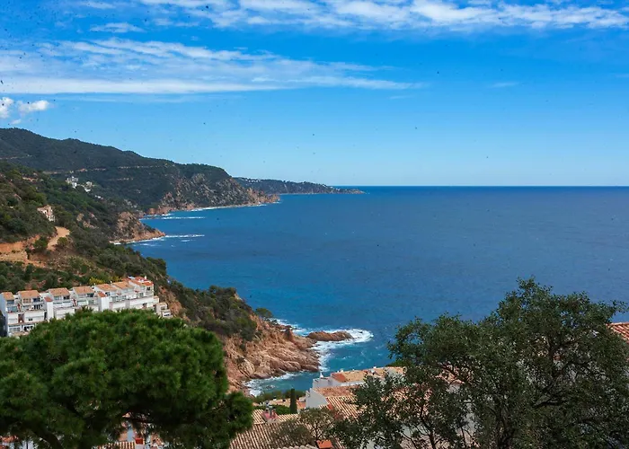 Salionç Cala - Homecelona Apts Appartamento Canet De Mar