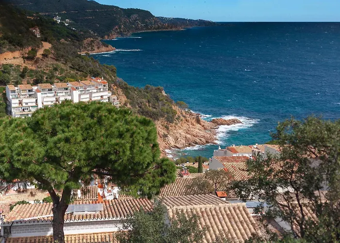 Salionç Cala - Homecelona Apts Appartamento